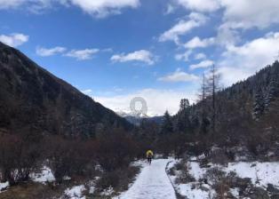 刺客信条：枭雄